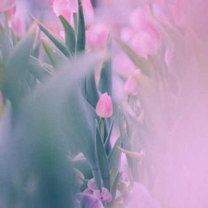 دانلود آهنگ چشمات چشمات دنیامو سوزوند چشمات